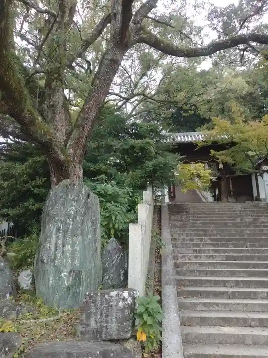 東雲神社(愛媛県)