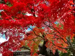 冨士山稲荷神社(長野県)