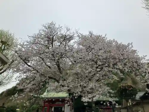 元町厳島神社の{uncategorized: "未分類", other: "その他", undefined: "問題あり", building: "その他建物", grave: "お墓", sacred_gate: "鳥居", guardian: "狛犬", statue: "像", buddha: "仏像", history: "歴史", nature: "自然", garden: "庭園", animal: "動物", pagoda: "塔", temizu: "手水舎", mountain_gate: "山門・神門", sanctuary: "本殿・本堂", subordinate: "末社・摂社", art: "芸術", scenery: "景色", jizo: "地蔵", ema: "絵馬", goshuin: "御朱印", omikuji: "おみくじ", items: "授与品その他", amulet: "お守り", goshuincho: "御朱印帳", eats: "食事", festival: "お祭り", votive_dance: "神楽", shichigosan: "七五三参", wedding: "結婚式", experience: "体験その他", initially: "初詣", around: "周辺", anti_infection: "感染症対策"}