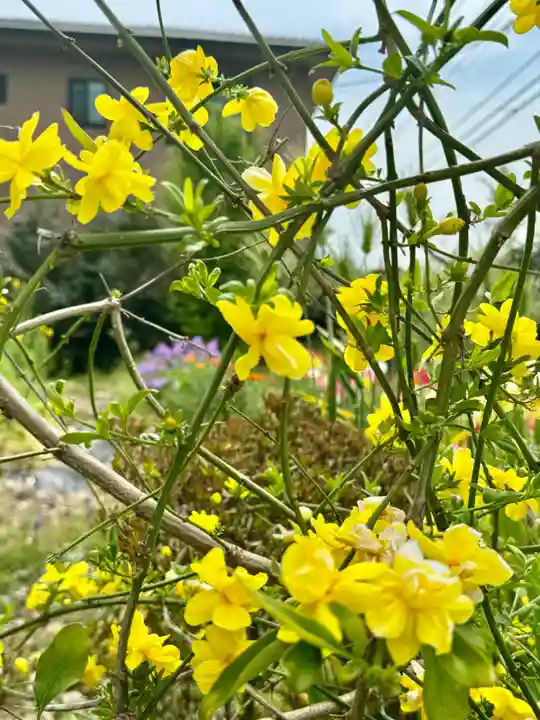 玉田神社の自然