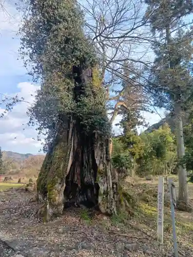 県神社(岐阜県)