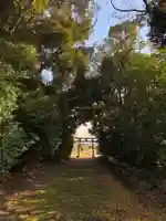 水神社(千葉県)