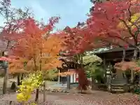 鷲林寺(兵庫県)