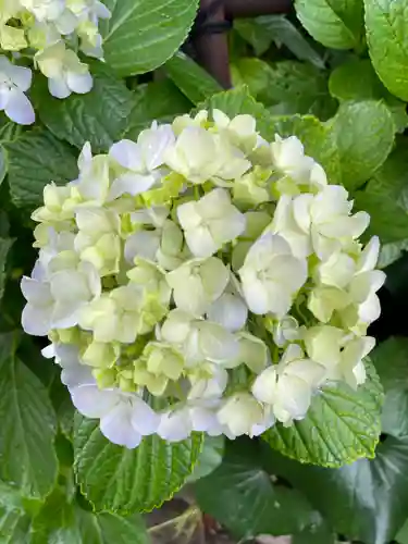白山神社の自然