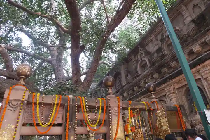 石歴山 妙勝寺(東京都)