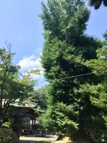 正法寺の庭園