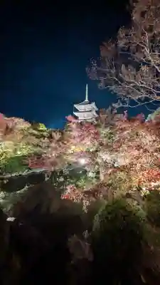 東寺（教王護国寺）(京都府)