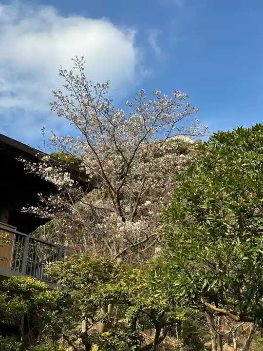 大船観音寺(神奈川県)