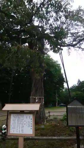 弟子屈神社の自然