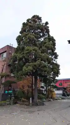 千正寺(北海道)