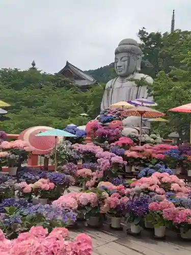 南法華寺（壷阪寺）(奈良県)