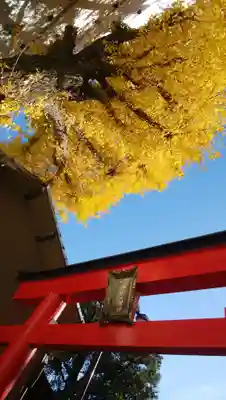 五郎久保稲荷神社の鳥居