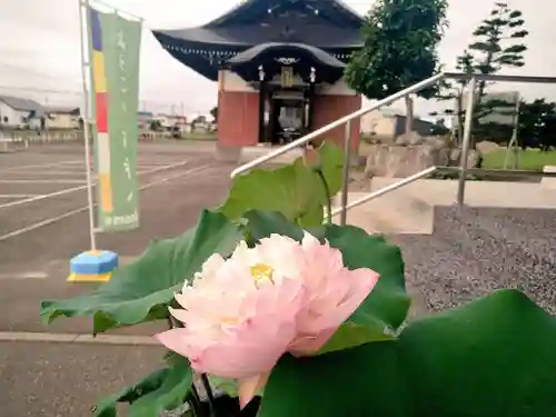 雨竜　専福寺の庭園