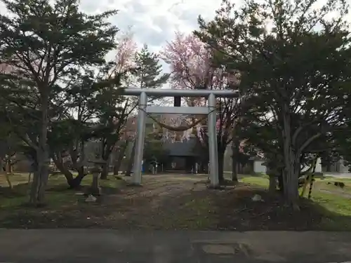 安国神社の鳥居