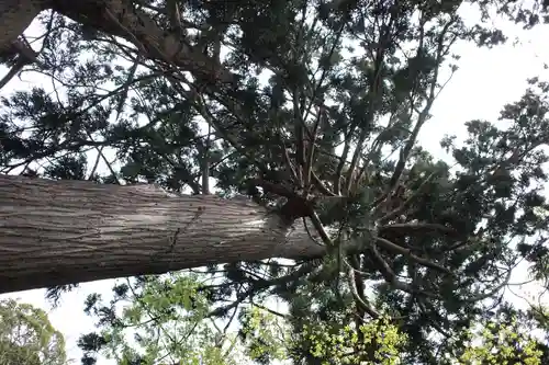 鳥海山大物忌神社吹浦口ノ宮(山形県)
