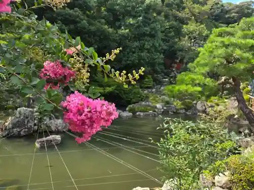 清荒神清澄寺(兵庫県)
