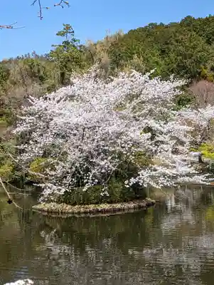 龍安寺(京都府)