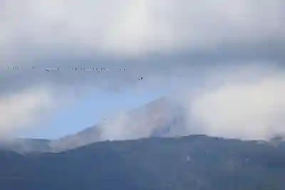 庄野菅原神社の景色