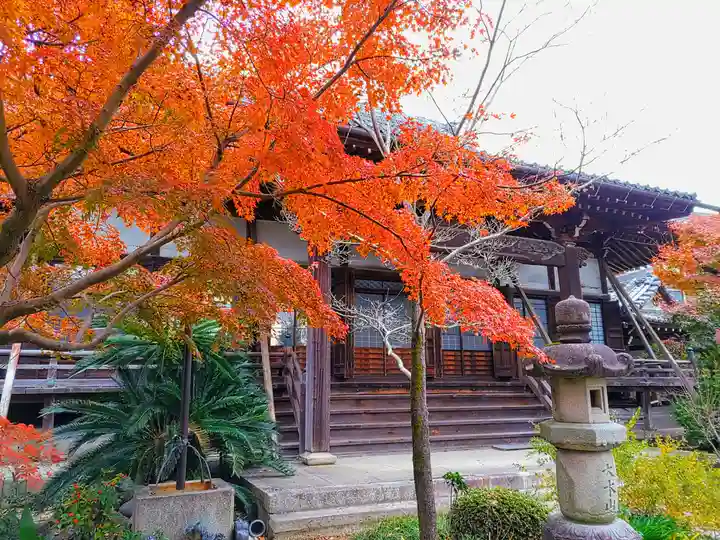 西運寺の本殿・本堂