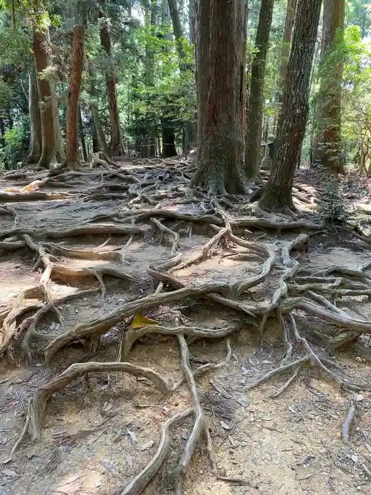 鞍馬寺(京都府)
