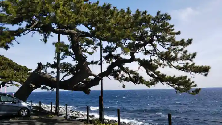 素盞嗚神社の周辺