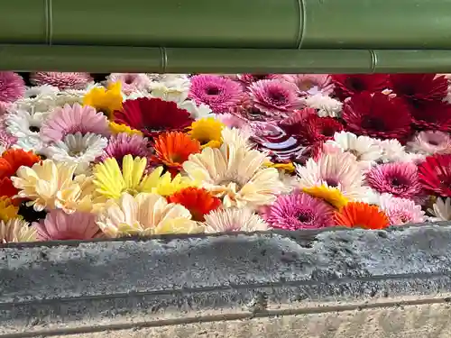 草加神社(埼玉県)