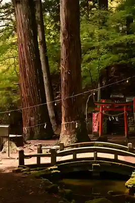 金櫻神社(山梨県)