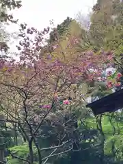 大山寺の自然