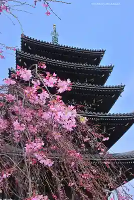 香林寺(神奈川県)