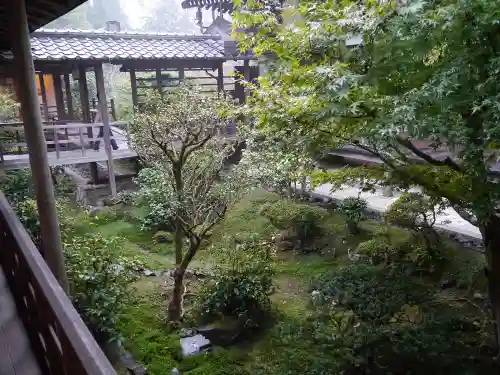 安楽寺の庭園