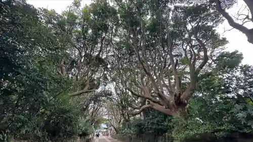 酒列磯前神社(茨城県)