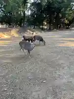 春日大社(奈良県)