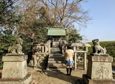 神明神社 (字上東霞野)の本殿・本堂