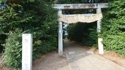 大國玉神社の鳥居