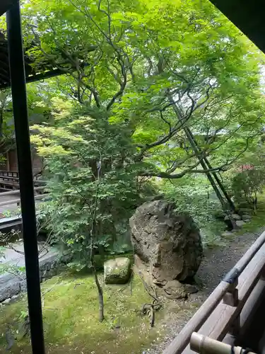 禅林寺（永観堂）(京都府)