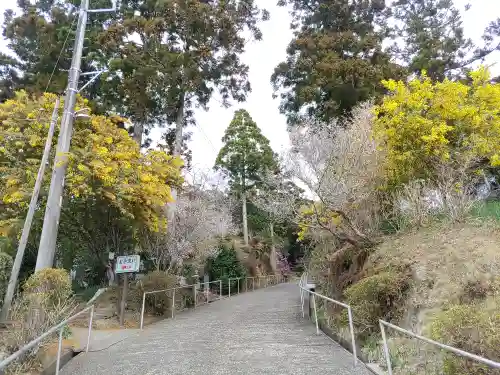 真野寺(千葉県)