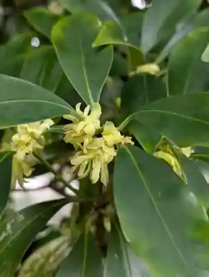 慶珊寺(神奈川県)
