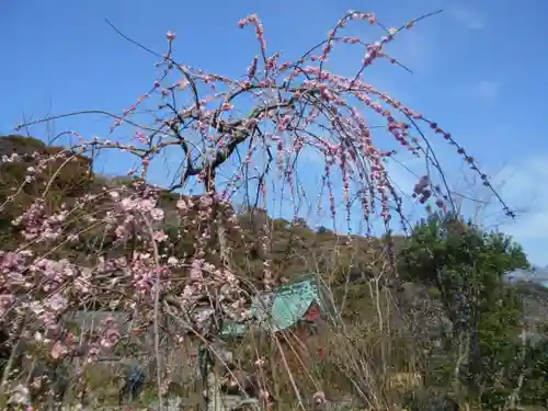 光則寺の庭園