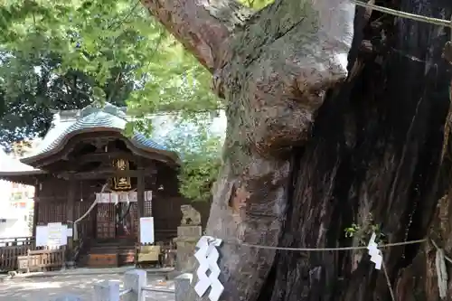 阿邪訶根神社の景色