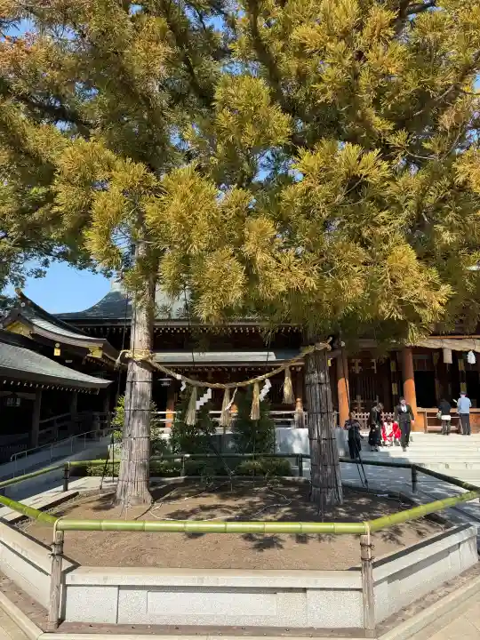 寒川神社の{uncategorized: "未分類", other: "その他", undefined: "問題あり", building: "その他建物", grave: "お墓", sacred_gate: "鳥居", guardian: "狛犬", statue: "像", buddha: "仏像", history: "歴史", nature: "自然", garden: "庭園", animal: "動物", pagoda: "塔", temizu: "手水舎", mountain_gate: "山門・神門", sanctuary: "本殿・本堂", subordinate: "末社・摂社", art: "芸術", scenery: "景色", jizo: "地蔵", ema: "絵馬", goshuin: "御朱印", omikuji: "おみくじ", items: "授与品その他", amulet: "お守り", goshuincho: "御朱印帳", eats: "食事", festival: "お祭り", votive_dance: "神楽", shichigosan: "七五三参", wedding: "結婚式", experience: "体験その他", initially: "初詣", around: "周辺", anti_infection: "感染症対策"}