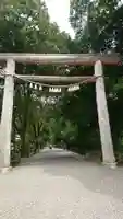 天岩戸神社の鳥居
