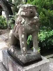 荒井神社の狛犬