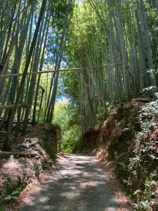 伊射波神社の{uncategorized: "未分類", other: "その他", undefined: "問題あり", building: "その他建物", grave: "お墓", sacred_gate: "鳥居", guardian: "狛犬", statue: "像", buddha: "仏像", history: "歴史", nature: "自然", garden: "庭園", animal: "動物", pagoda: "塔", temizu: "手水舎", mountain_gate: "山門・神門", sanctuary: "本殿・本堂", subordinate: "末社・摂社", art: "芸術", scenery: "景色", jizo: "地蔵", ema: "絵馬", goshuin: "御朱印", omikuji: "おみくじ", items: "授与品その他", amulet: "お守り", goshuincho: "御朱印帳", eats: "食事", festival: "お祭り", votive_dance: "神楽", shichigosan: "七五三参", wedding: "結婚式", experience: "体験その他", initially: "初詣", around: "周辺", anti_infection: "感染症対策"}