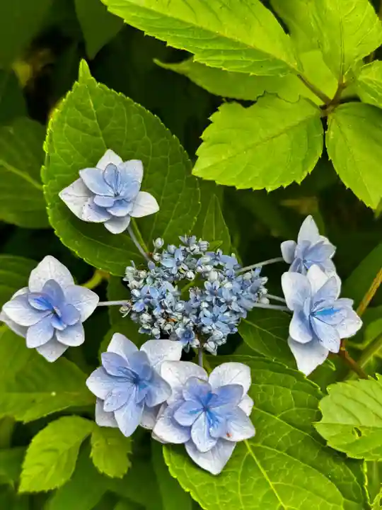 涌谷神社(宮城県)