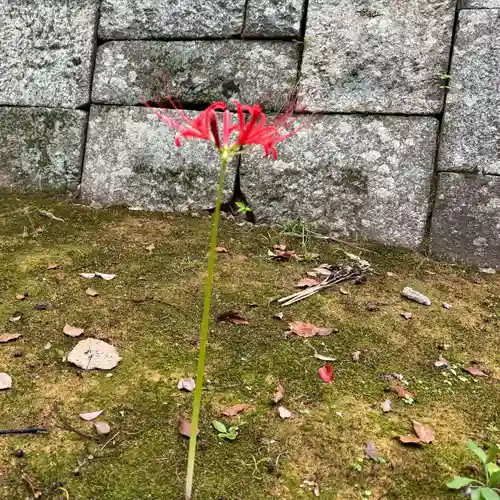 伊勢の国 四天王寺(三重県)