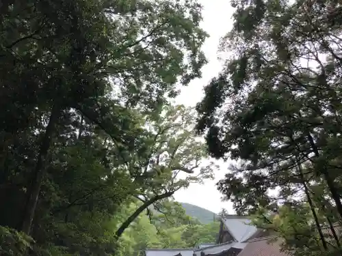 伊勢神宮内宮（皇大神宮）の景色