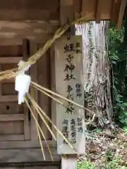 坂本八幡神社(徳島県)