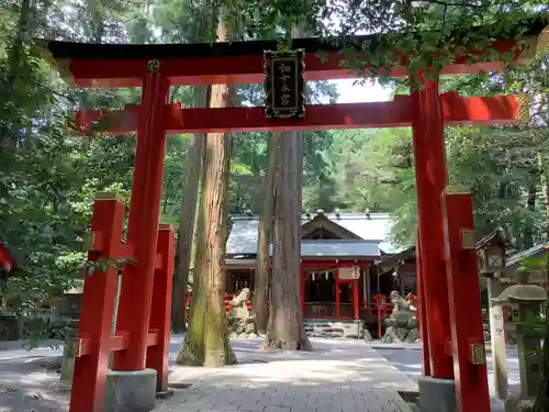 椿大神社の鳥居