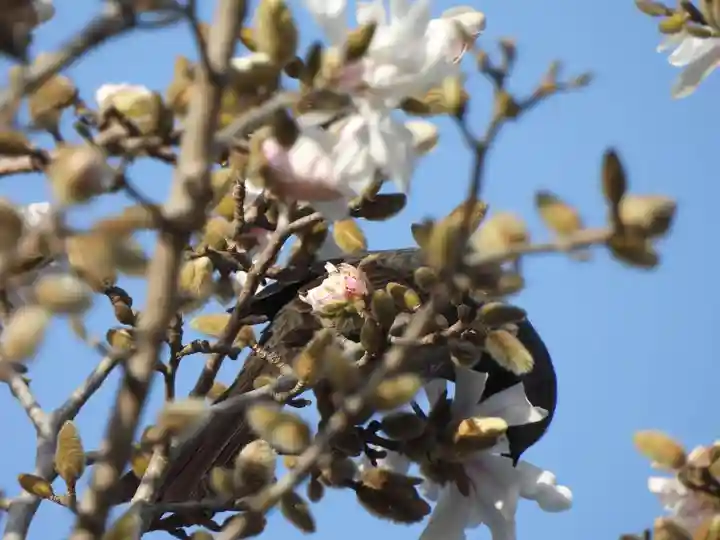 當麻寺(奈良県)