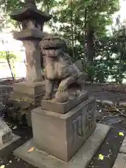 金王八幡宮の狛犬